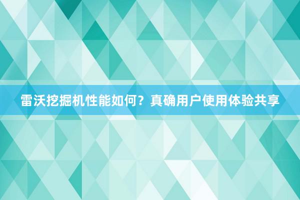 雷沃挖掘机性能如何？真确用户使用体验共享