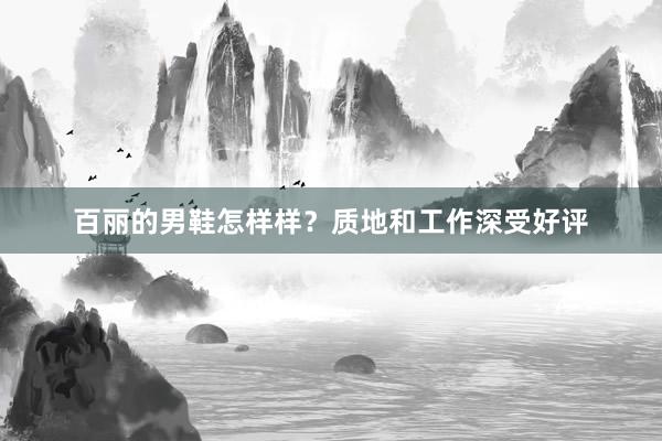 百丽的男鞋怎样样？质地和工作深受好评